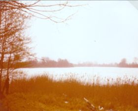 see2-78.jpg